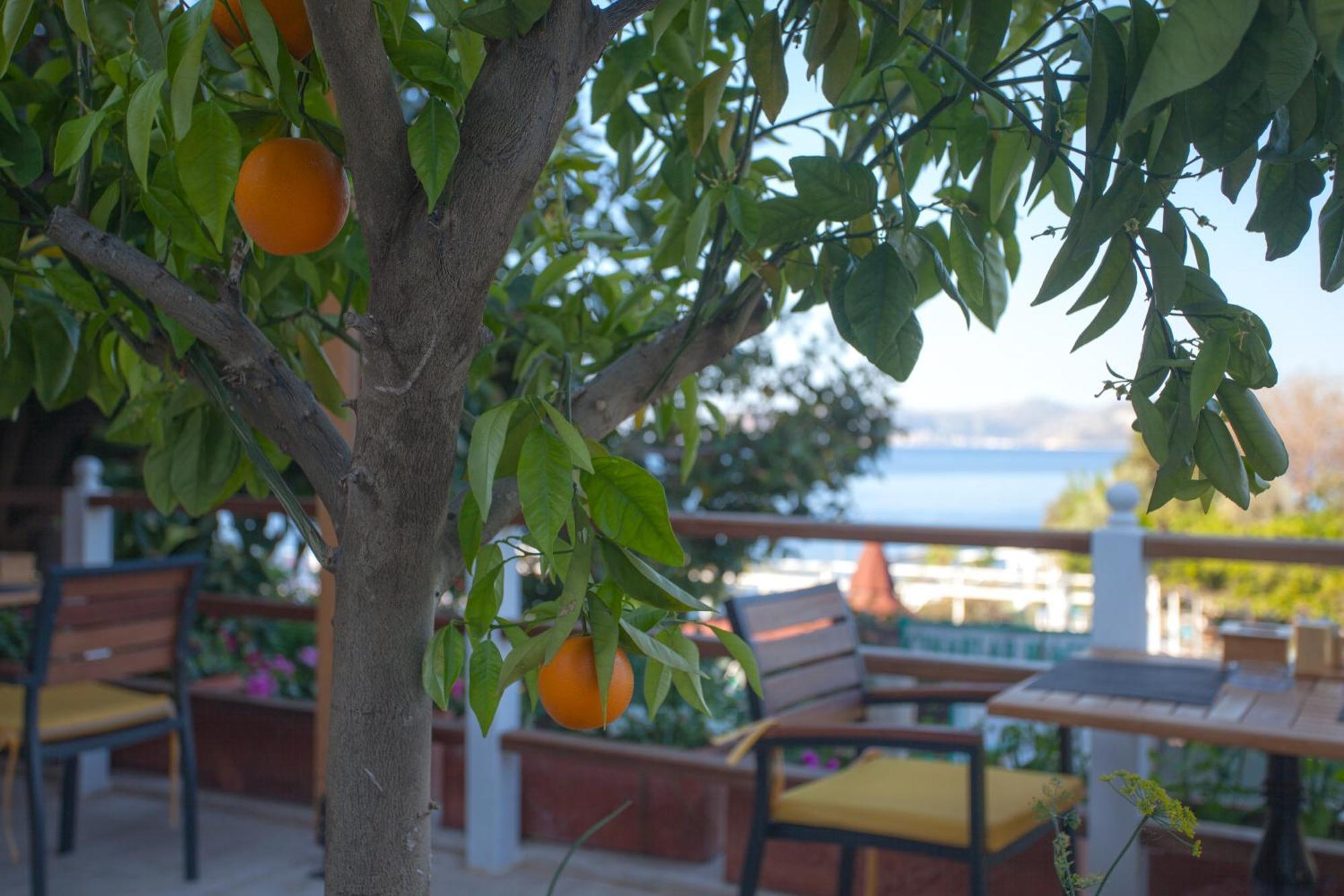 Hotel Ferah Kaş Exterior foto